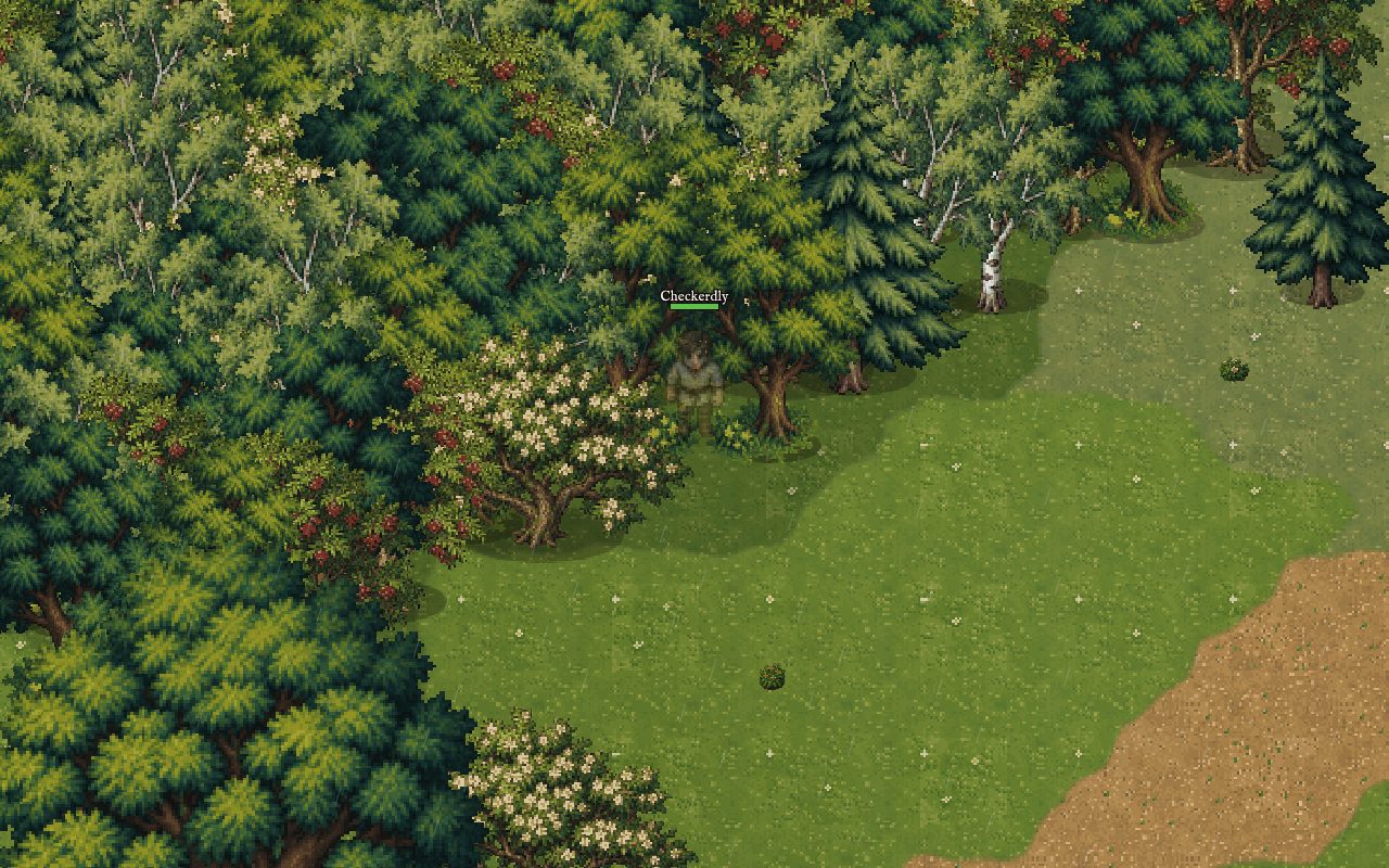 A clearing in the Heatherway wood, with a dirt road and mixed trees